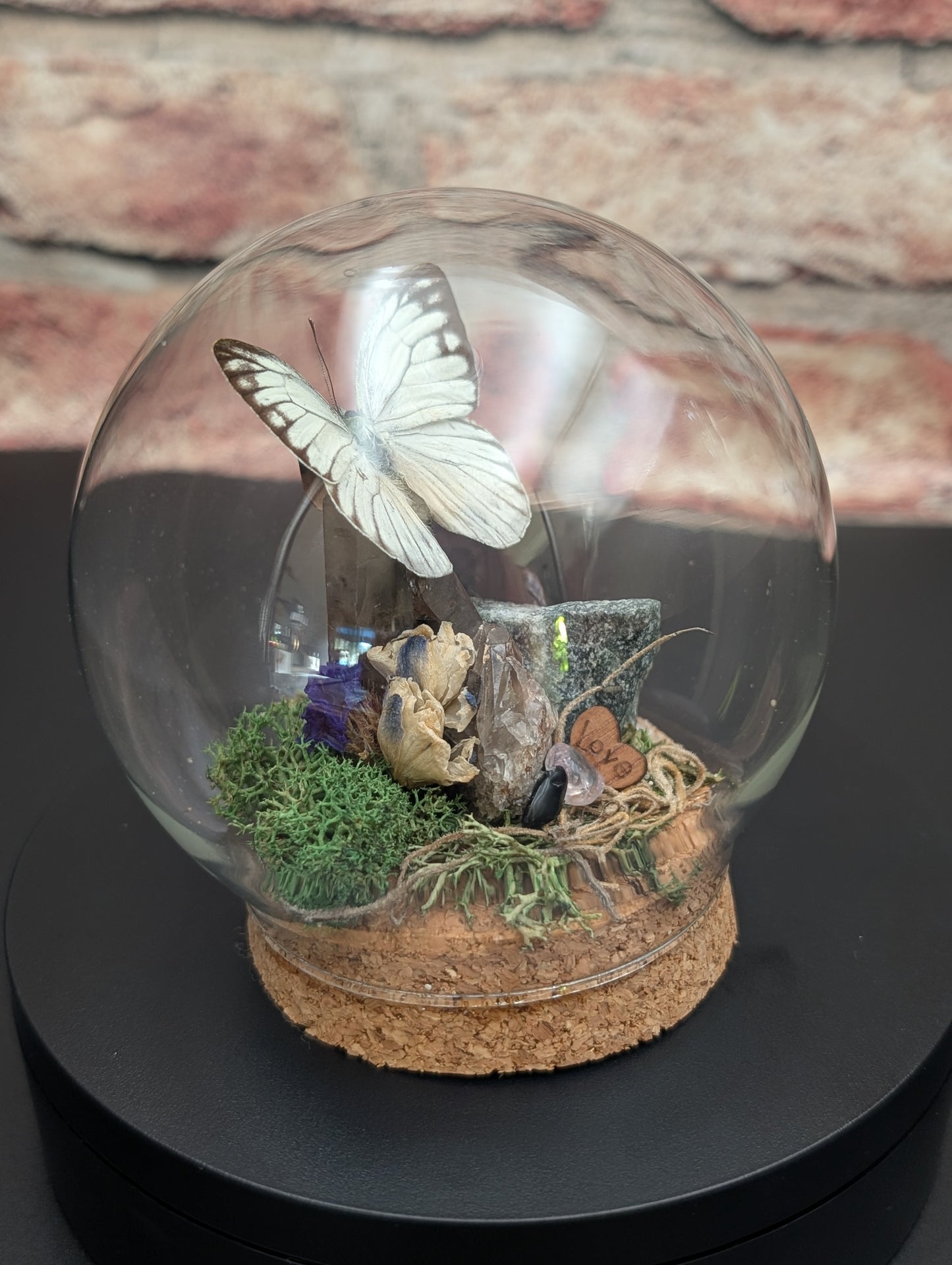 Butterfly dome small