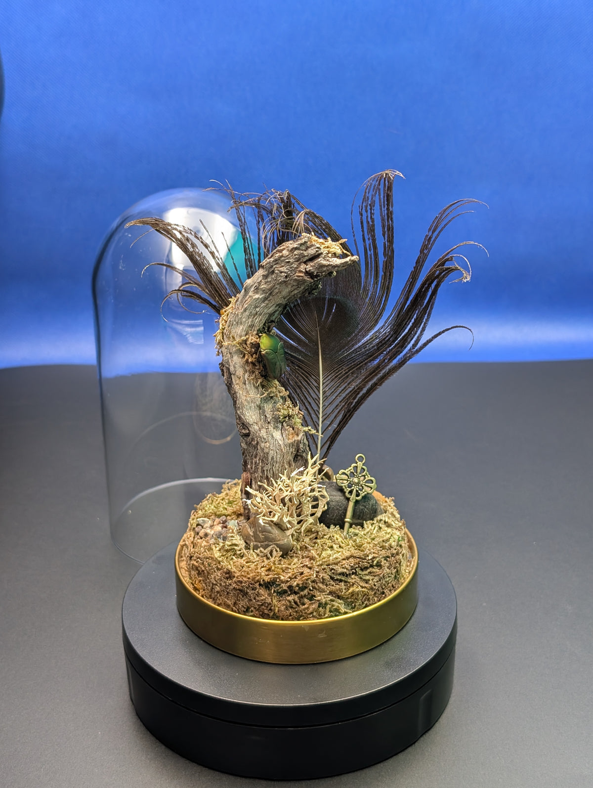 Peacock feather Dome