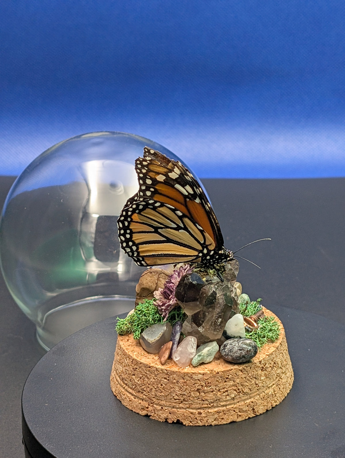 Monarch Small Dome