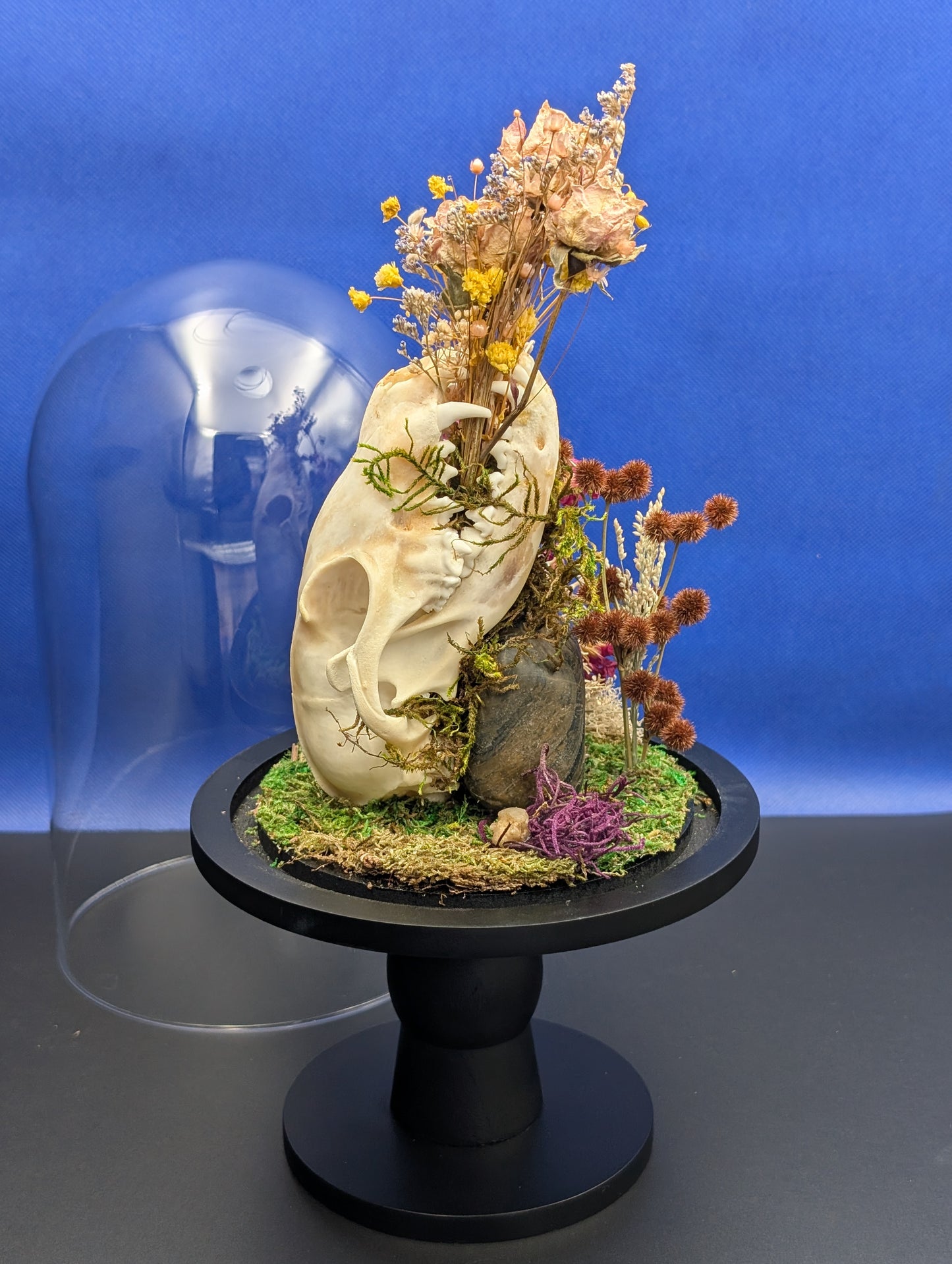 Fox in the Flowers