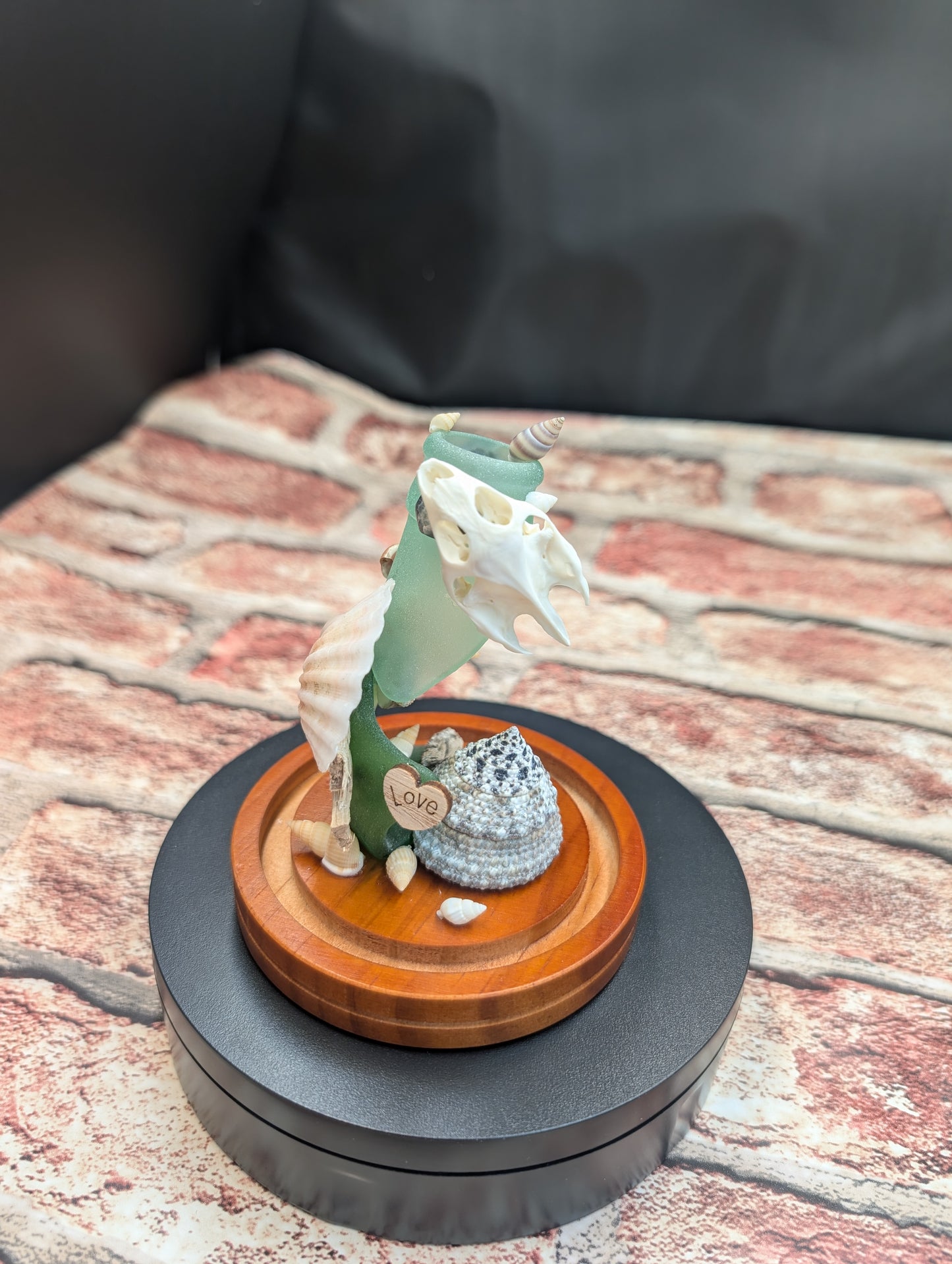Turtle Skull Beach Dome Sm