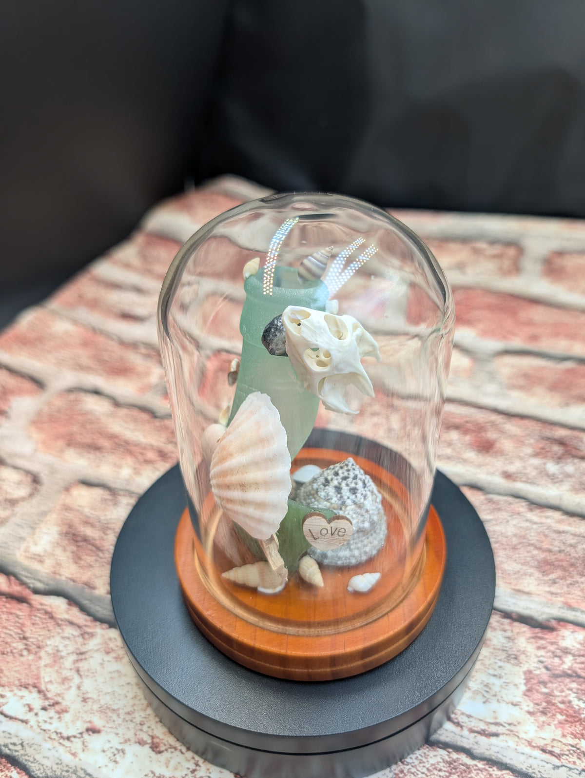 Turtle Skull Beach Dome Sm